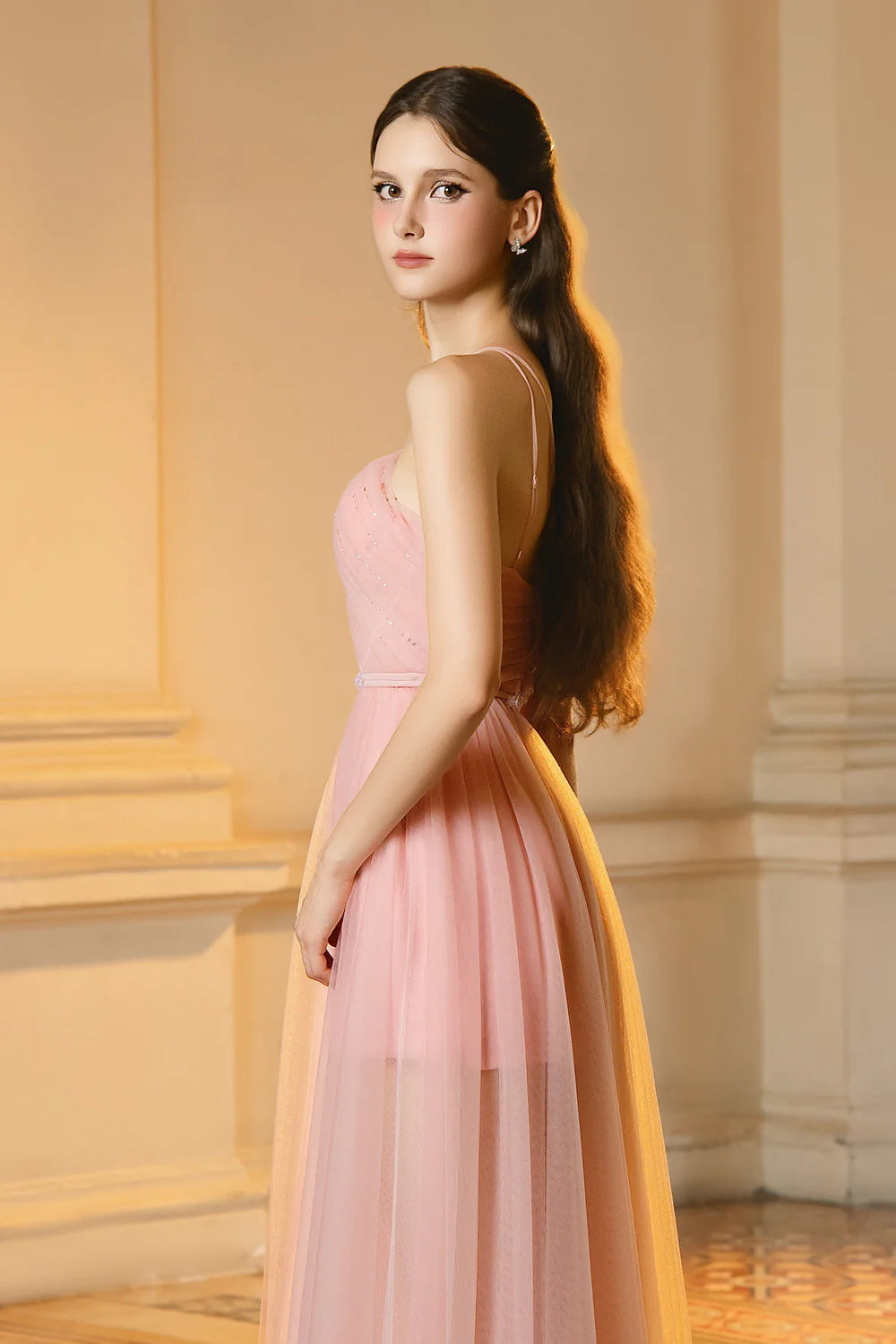 Lucas A-line V-Neck Mesh Maxi Dress