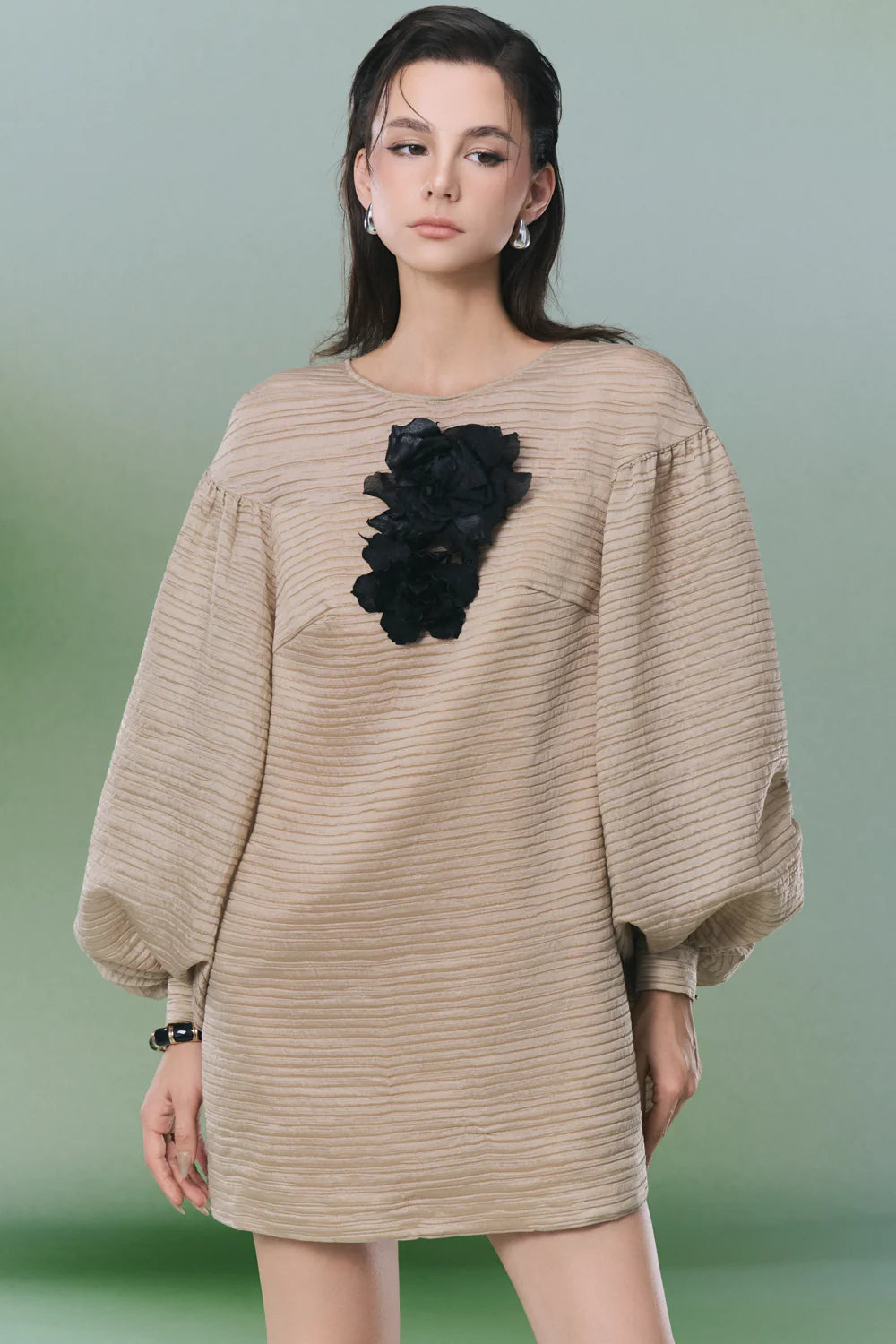 Collin Bishop Sleeve Applique Mini Dress