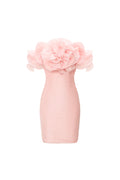 Acapella Rose Off-Shoulder Ruffle Mini Dress