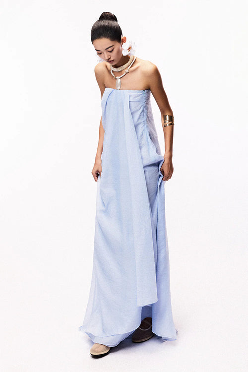 Alexa A-line Draped Chiffon Maxi Dress