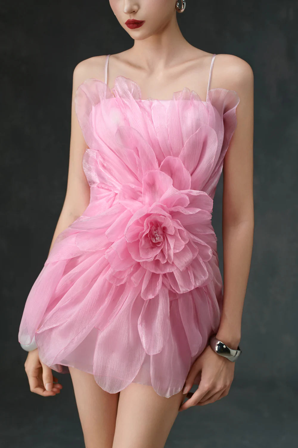 Rina Babydoll Applique Mini Dress