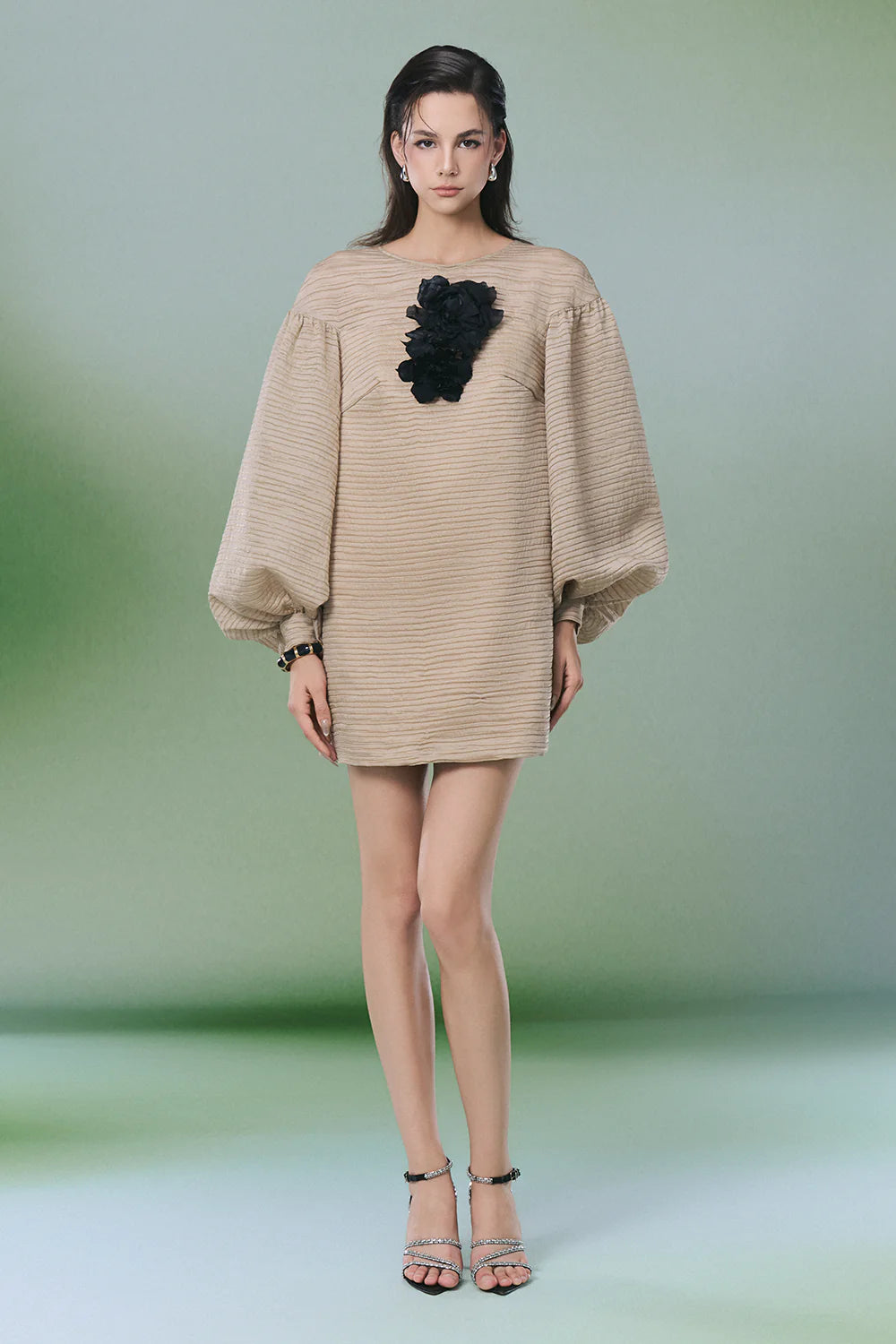 Collin Bishop Sleeve Applique Mini Dress