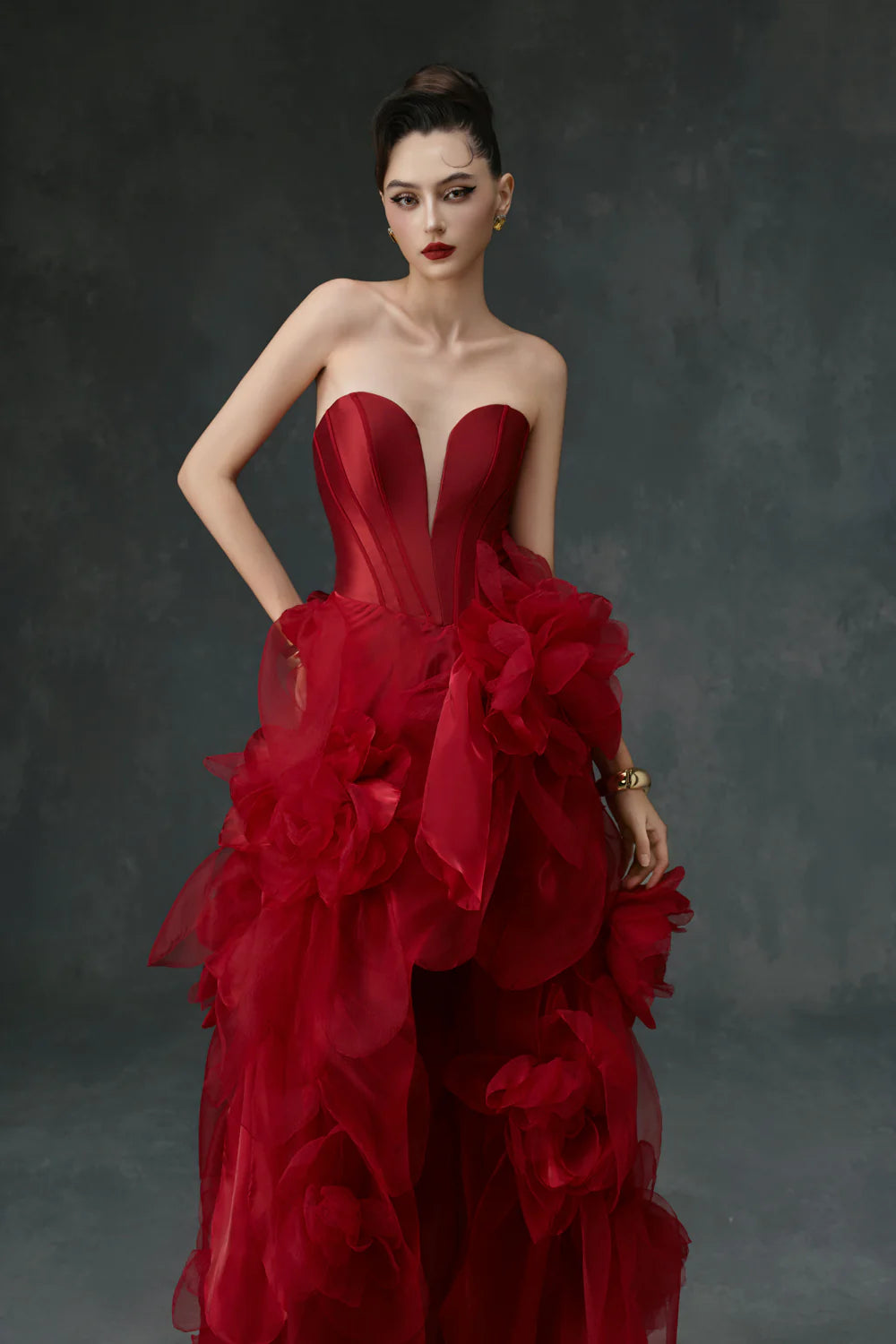 Kaela Ball Gown Applique Maxi Dress